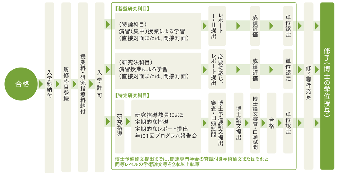 大学院合格から修了(博士の学位授与)までの履修プロセスを示すフロー図です。入学手続き後、基盤研究科目(特論科目・研究法科目)と特定研究科目(研究指導)に分かれて学習・研究を進め、単位を修得します。特定研究科目では博士予備論文および博士論文の提出・審査があり、予備論文提出までに査読付き学術論文等2本以上の執筆が求められます。すべての修了要件を満たすことで学位が授与される流れが示されています。